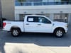 25 thumbnail image of  2022 Ford F-150 XLT