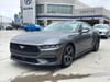 1 thumbnail image of  2024 Ford Mustang EcoBoost Premium