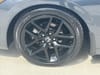 16 thumbnail image of  2024 Honda Civic Sport