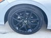 17 thumbnail image of  2025 Honda Civic Sport