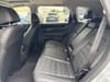 25 thumbnail image of  2025 Honda CR-V EX-L