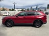 21 thumbnail image of  2026 Honda CR-V EX-L