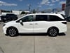 22 thumbnail image of  2026 Honda Odyssey EX-L