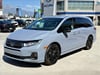 1 thumbnail image of  2026 Honda Odyssey Sport-L