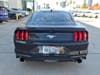 4 thumbnail image of  2022 Ford Mustang