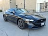 22 thumbnail image of  2022 Ford Mustang