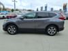 22 thumbnail image of  2019 Honda CR-V EX
