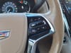 12 thumbnail image of  2019 Cadillac Escalade ESV Platinum