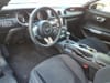 16 thumbnail image of  2022 Ford Mustang