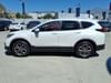 21 thumbnail image of  2022 Honda CR-V EX