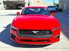 2 thumbnail image of  2024 Ford Mustang EcoBoost Premium