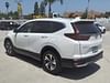 24 thumbnail image of  2021 Honda CR-V Special Edition