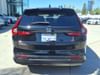 4 thumbnail image of  2023 Honda CR-V EX-L
