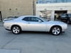 23 thumbnail image of  2023 Dodge Challenger SXT