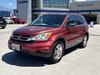 1 thumbnail image of  2010 Honda CR-V EX