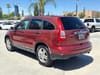 26 thumbnail image of  2010 Honda CR-V EX