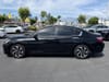 24 thumbnail image of  2017 Honda Accord EX