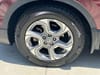 18 thumbnail image of  2019 Honda CR-V EX