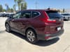 26 thumbnail image of  2019 Honda CR-V EX