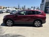 23 thumbnail image of  2019 Honda CR-V EX