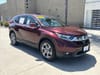 28 thumbnail image of  2019 Honda CR-V EX