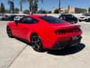 25 thumbnail image of  2024 Ford Mustang EcoBoost Premium