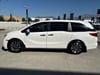 23 thumbnail image of  2024 Honda Odyssey EX-L