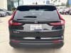 4 imagen en miniatura de 2025 Honda CR-V LX