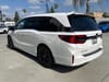25 thumbnail image of  2025 Honda Odyssey Sport-L