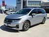 1 placeholder image of  2026 Honda Odyssey EX-L