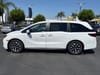 10 thumbnail image of  2026 Honda Odyssey EX-L