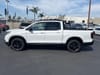 10 thumbnail image of  2026 Honda Ridgeline Black Edition