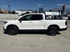21 thumbnail image of  2026 Honda Ridgeline Sport
