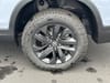 11 thumbnail image of  2026 Honda Ridgeline Sport