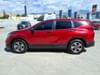 20 thumbnail image of  2020 Honda CR-V LX