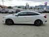20 thumbnail image of  2020 Honda Civic Sport