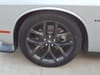 15 thumbnail image of  2022 Dodge Challenger R/T
