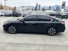 18 thumbnail image of  2016 Honda Accord EX