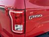 14 thumbnail image of  2016 Ford F-150 4WD XLT