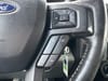 18 thumbnail image of  2019 Ford F-150 XLT