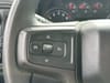 18 thumbnail image of  2020 Chevrolet Silverado 1500 Custom Trail Boss