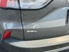 18 thumbnail image of  2021 Ford Escape SEL