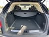19 thumbnail image of  2018 Cadillac XT5 Luxury AWD