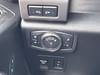 16 thumbnail image of  2019 Ford F-150 4WD XLT