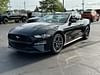 5 thumbnail image of  2019 Ford Mustang EcoBoost