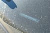2 thumbnail image of  2025 Honda Pilot EX-L