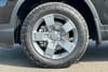 33 thumbnail image of  2025 Honda Ridgeline TrailSport