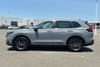 6 thumbnail image of  2026 Honda CR-V EX-L