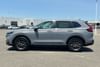 6 thumbnail image of  2026 Honda CR-V EX-L