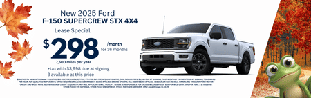 Ford F-150 STX Special
